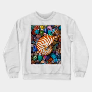 Natural Nautilus Shell On Colorful Stones Crewneck Sweatshirt